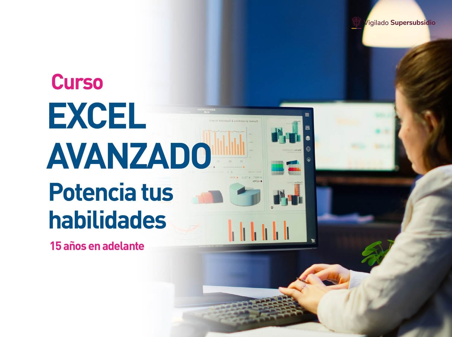 Excel avanzado virtual